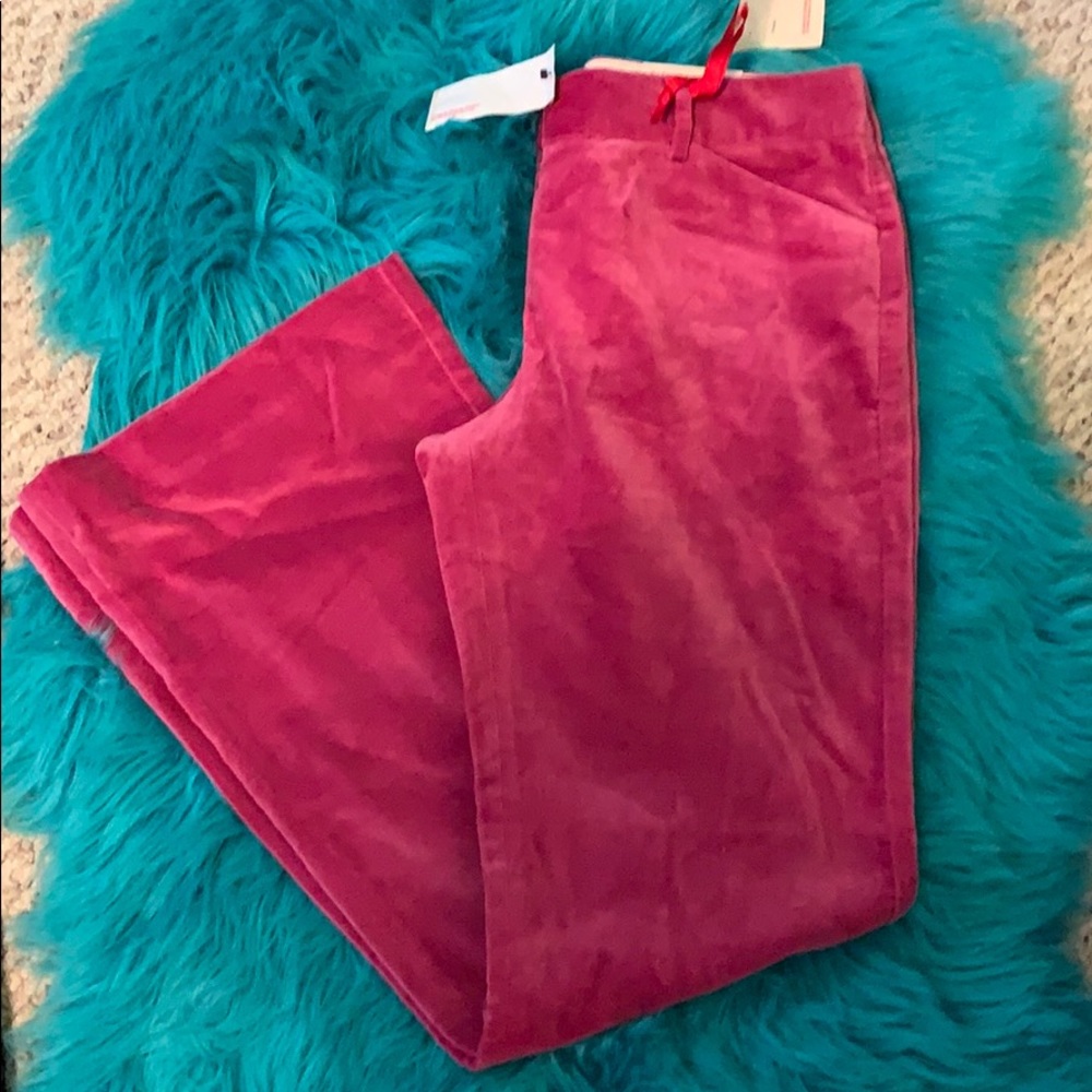 Express NWT Editor Flare Stretch Pants
